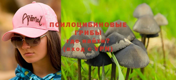 бошки Инсар