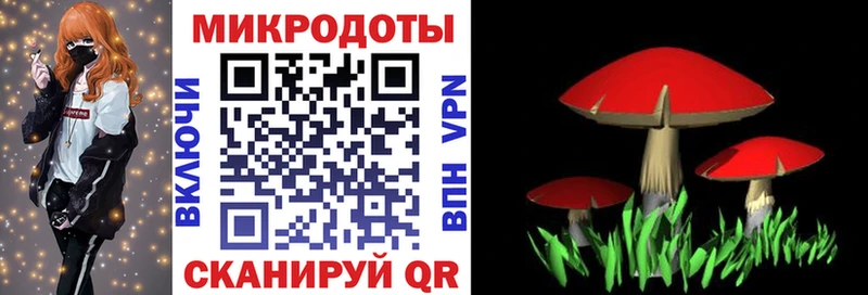 Купить  Заволжск  Псилоцибиновые грибы прущие грибы 